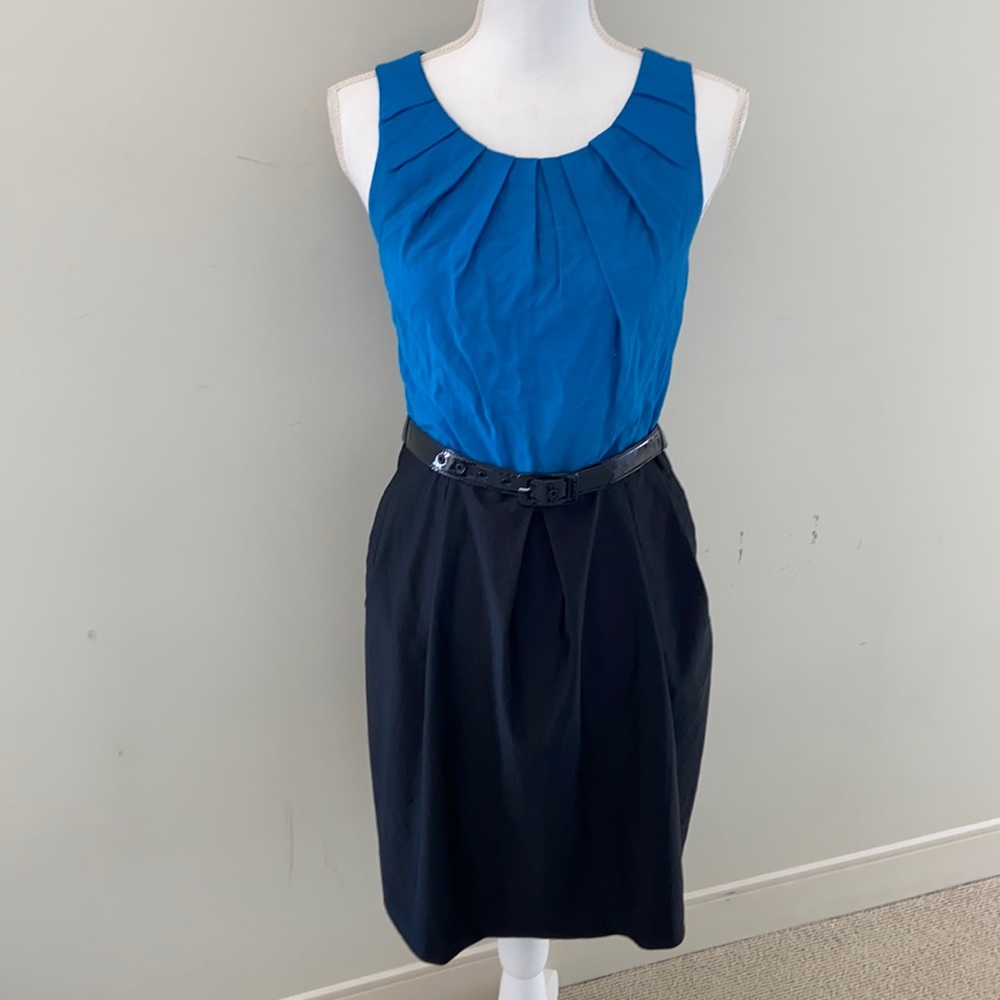 Color Block Eva Franco Dress (with belt)